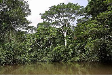 《绝地潜兵2》击败《龙之信条2》重返Steam销量榜榜首